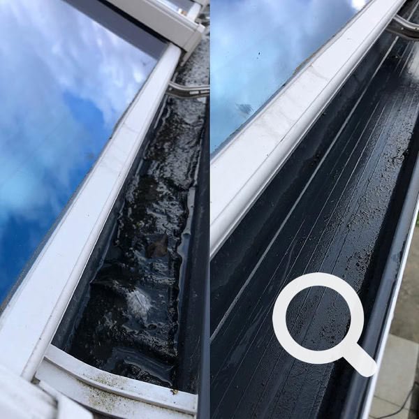Gutter & Fascia Cleaning