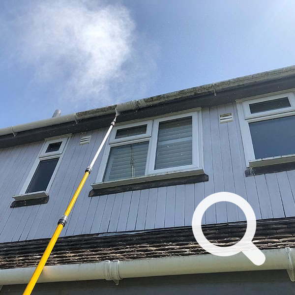 Gutter & Fascia Cleaning