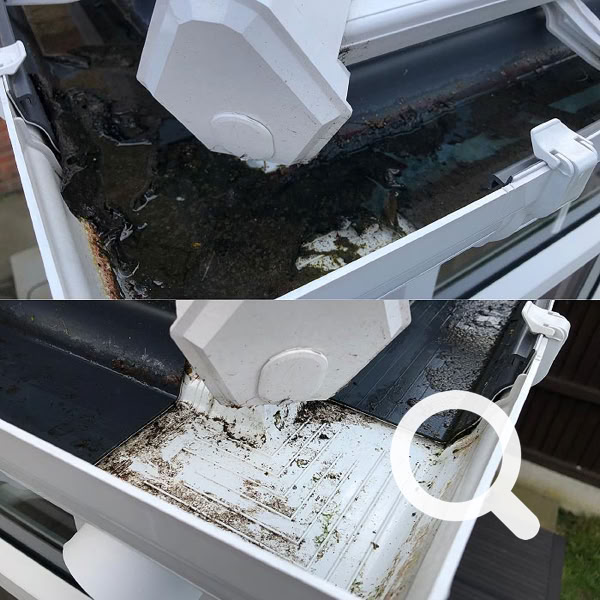 Gutter & Fascia Cleaning